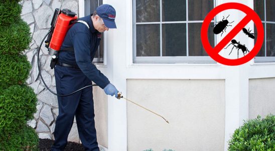 Yavuzeli Dezenfeksiyon böcek ilaçlama ve haşere kontrolü — ilaclama-tr.com